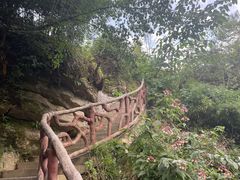 -鹿院坪生态旅游景区