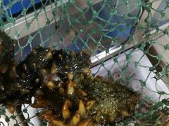 -宾朋海鲜特色美食餐厅·纯手工鲅鱼水饺(兴海路店)