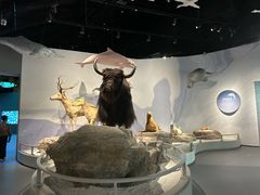 -中国湿地博物馆