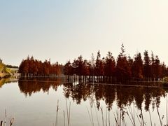 -白鹭湾湿地公园