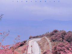 -东澳岛