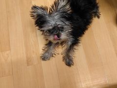 -纳吉亚猫专科动物诊疗中心(蒋宅口分院)