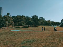 -广州国际生物岛山地公园揽胜园