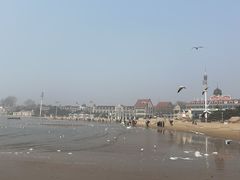 -老虎石海上公园