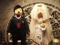 -济州岛泰迪熊博物馆