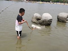 -上海月湖雕塑公园