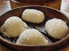 茨毛圆子-双塔老饭店