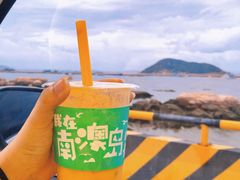 -南澳岛打卡果汁冰公司