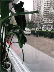点击看大图 -木北造型