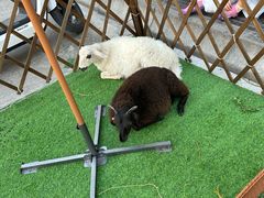 -清真·益鑫羊肉手抓馆(花园北街店)