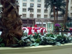 宛若露天的就餐厅-北京王府井天伦王朝酒店