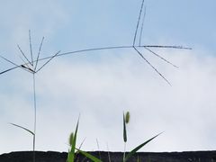-慕田峪长城