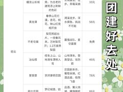 -桔子文创·企业团建·活动策划·拓展会议