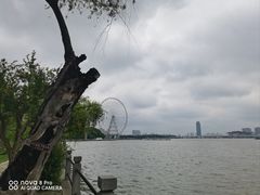 -无锡蠡湖国家湿地公园-蠡园