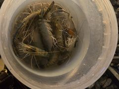 -DGE季风钓虾营地·团建·聚会