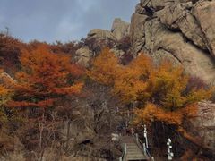 -崂山巨峰游览区