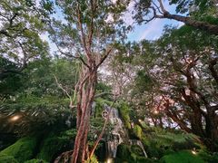 -Chom Cafe and Restaurant