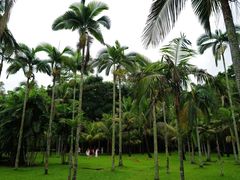 -中国科学院西双版纳热带植物园