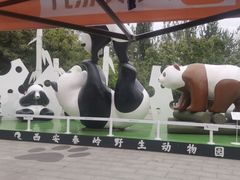-西安秦岭野生动物园