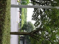 -上海大学生体育中心游泳馆(松江店)