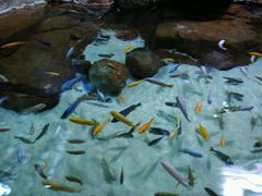 -上海海洋水族馆-停车场