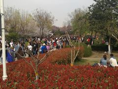 -西安青龙寺遗址景区