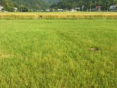-趣飞飞黑麋峰国际滑翔伞基地