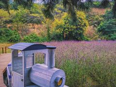 -云峰山自然风景区