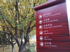 -西安乐游原