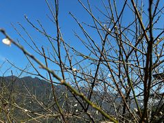 -广州市流溪河国家森林公园