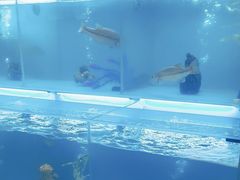 -怡咖啡·自助餐·西安香格里拉