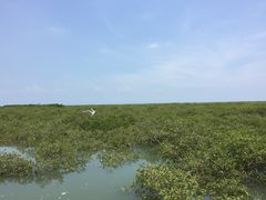 景点-北海金海湾红树林生态旅游区