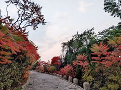 -南翠屏公园