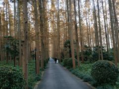 -上海怡沁园度假酒店