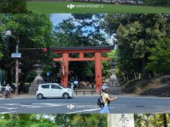 -奈良公园