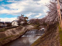 -京都全日空皇冠假日酒店