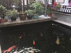 -华庭苑农家乐(旺山店)