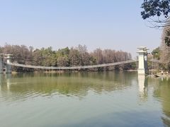 -东湖落雁景区