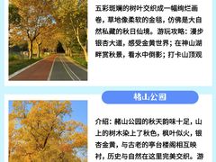 -赭山公园