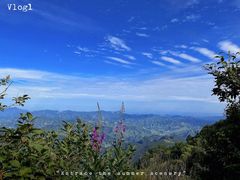-白草畔自然风景区