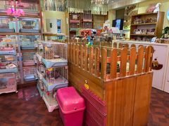 -宠物兔专门店(天丰利市场店)