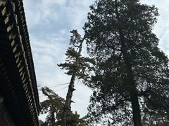 -潭柘寺景区
