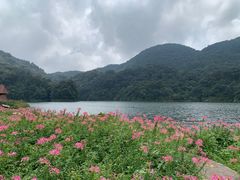-广州市石门国家森林公园