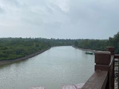 -东寨港红树林旅游区