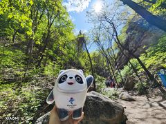 -大岭沟猕猴桃谷风景区