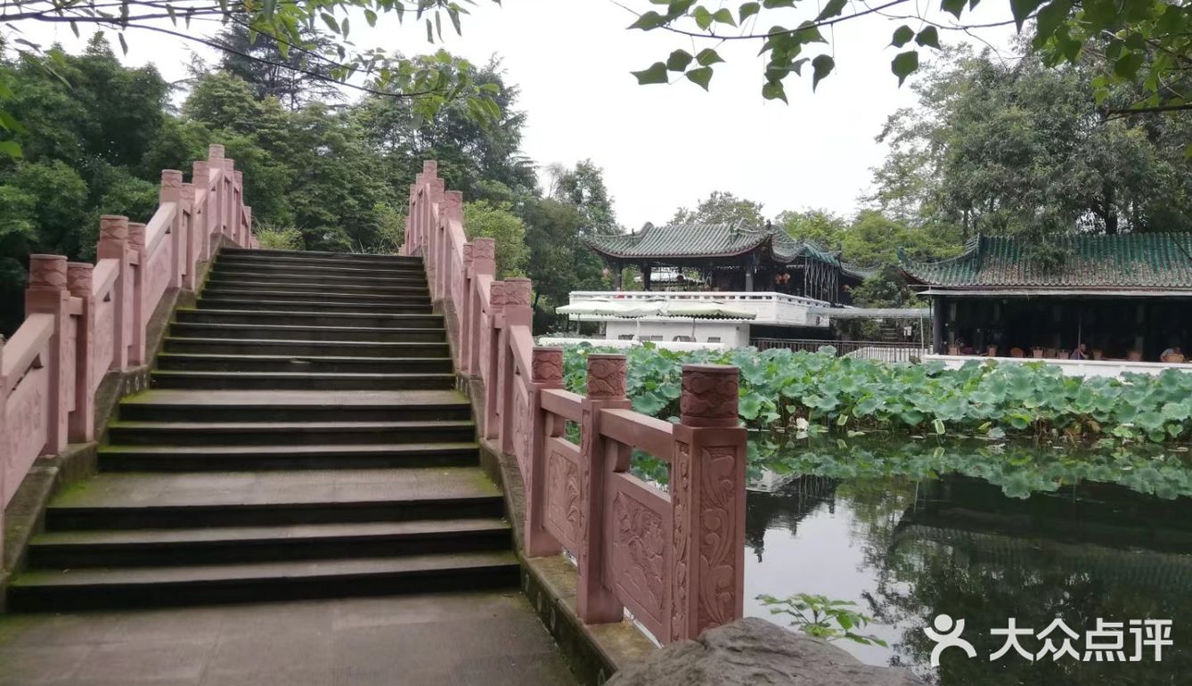 一个人在桂湖森林公园坐着发呆……