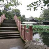 一个人在桂湖森林公园坐着发呆……