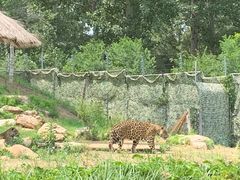 -北京野生动物园