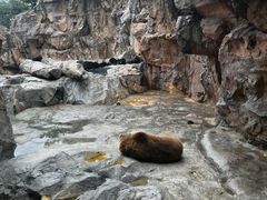 -珠海长隆海洋王国