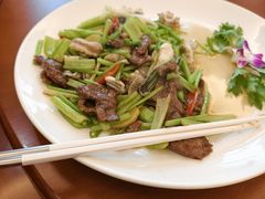 -杨记新泉美食